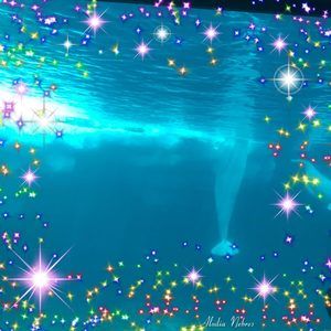 Meet your Posher, Tom